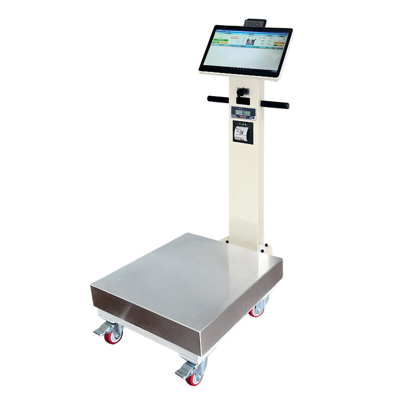 智能溯源秤验收终端设备量程300KG