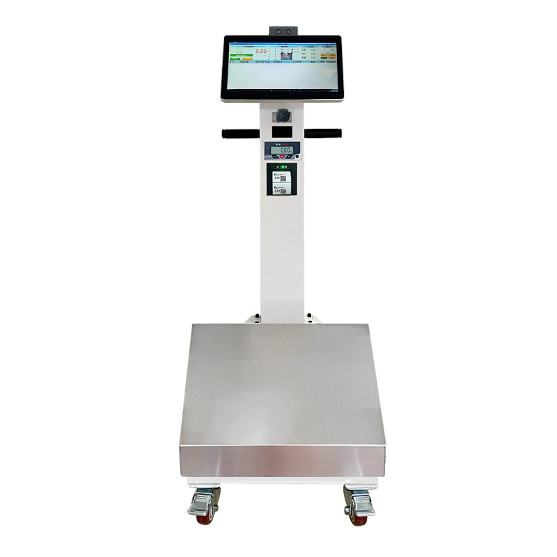 智能溯源秤验收终端设备量程300KG